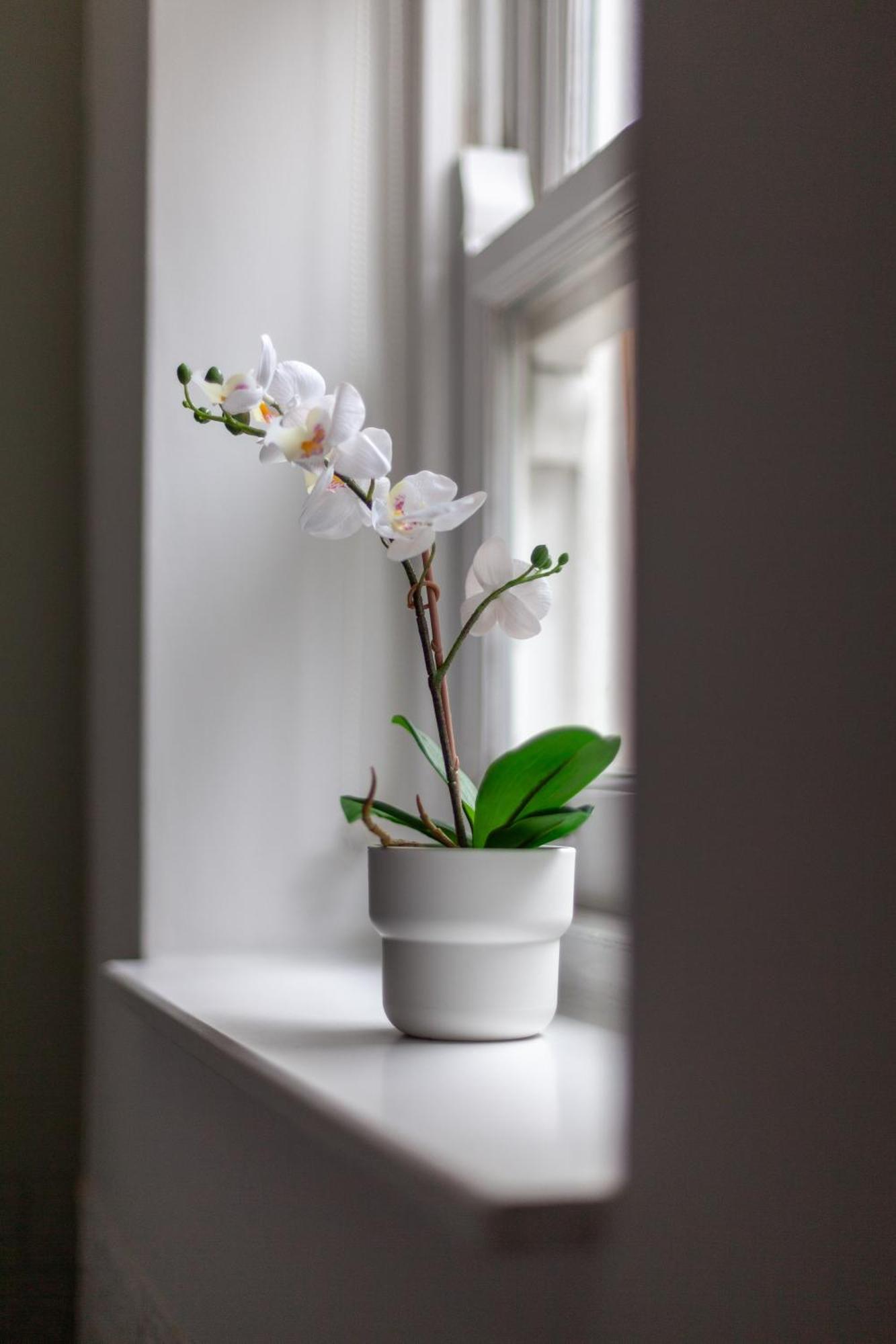 The Hackney Luxury Flat Daire Londra Dış mekan fotoğraf